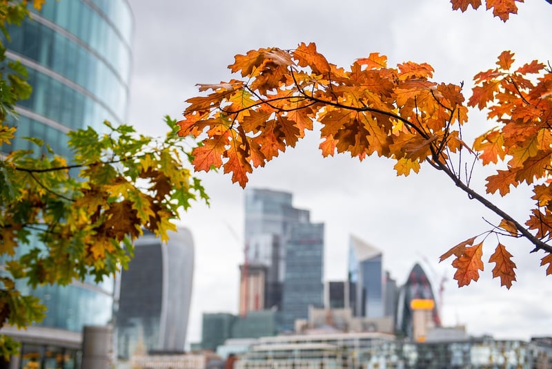 Urban Hike in London